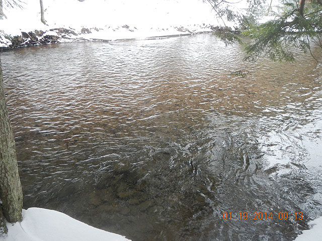 mlk and misc 01-20-2014 018.jpg -                                Thats where it came from!